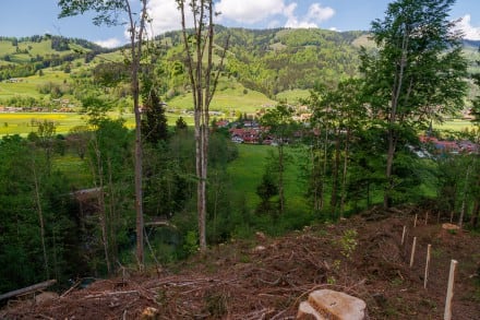 Oberallgäu: Himmeleck, Klamm und Dennenberg (Immenstadt)