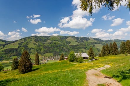 Oberallgäu: Alpe Kuhschwand (1.123m)
 (Immenstadt)