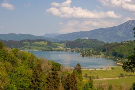 Tour: Salmaser und Thaler Höhe