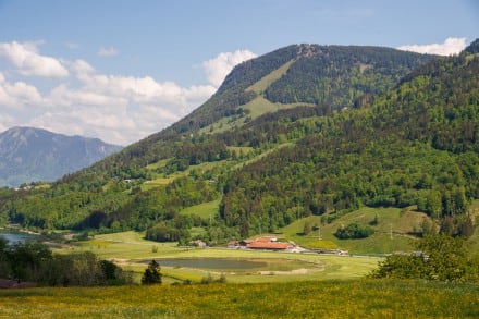 Immenstädter Horn
