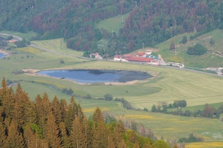 Oberallgäu: Teufelsee (Immenstadt)