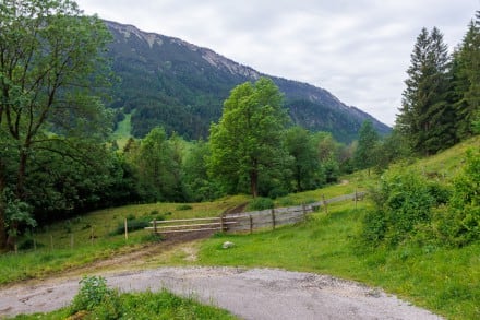 Weg zum Milchhäusle
