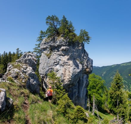 Ostallgäu:  (Pfronten)