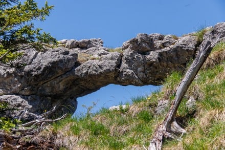 Ostallgäu: Kienberggrat - Torbogen (Pfronten)