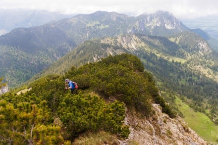 Amergauer Berge: Ammergauer Berge (Plansee)