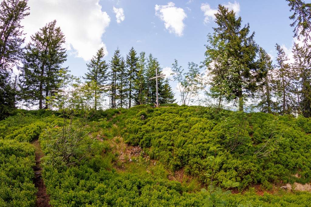 Renkknie - Feuerstätter und Burstkopf<br />(Balderschwang - Oberallgäu / 2022)