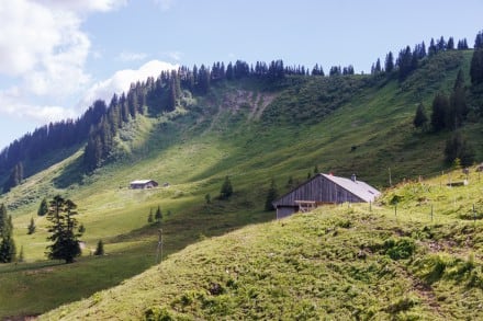 Oberallgäu: Feuerstätterkopf (Balderschwang)