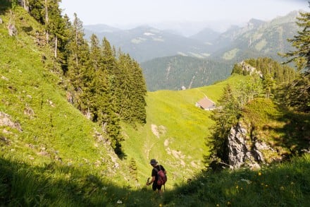 Voralberg: Gratweg Niederer Höhe (Balderschwang)