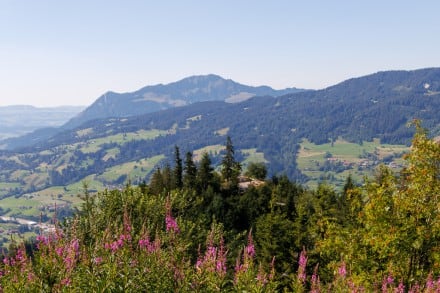 Oberallgäu: Burgschrofen (Bad Hindelang)