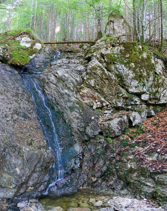 Reichenbachtobel<br />(Pfronten - Ostallgäu / 2022)