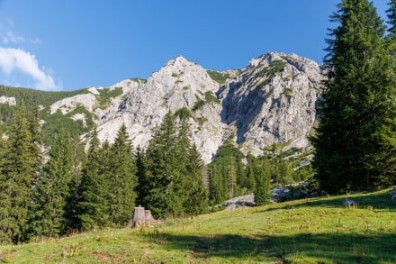 Weg zum Einstieg - Rossberg
