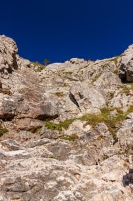 Ostallgäu: Roßberg Nordrinne (Pfronten)