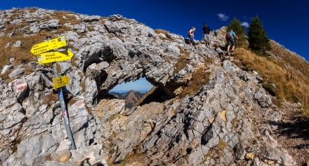 Amergauer Berge: Fensterl (Halblech)