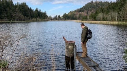 Ostallgäu: Schlossweiher (Pfronten)