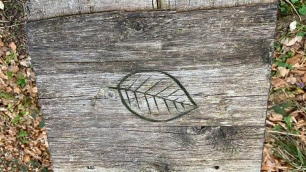 Ostallgäu: Natur Erlebnispfad (Pfronten)