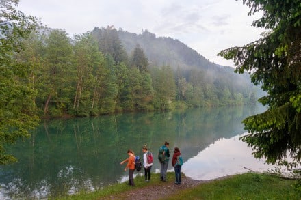 Oberallgu: Auwaldsee (Reichenbach)