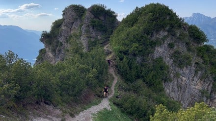 Ammergauer Berge: Tour (Reutte)