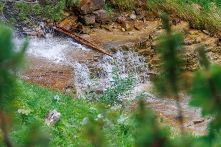 Ammergauer Berge: Roggentalbach (Reutte)