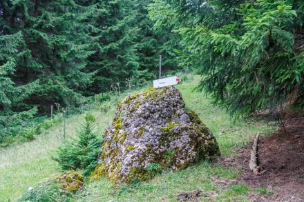 Westallgäu: Findling nach dem Abzweig zur Räuberhöhle (Missen)