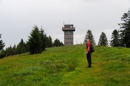 Westallgu: Tour (Missen)