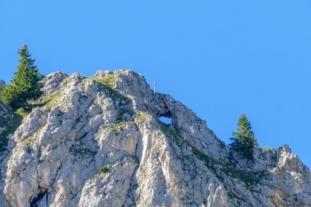 Tannheimer Tal: Am Hochwiesler (Nesselwängle)