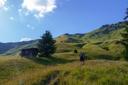 Tannheimer Tal: Tannheimer Berge (Nesselwängle)