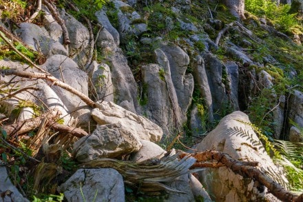 Oberallgäu: Gesteinsform (Grasgehren)