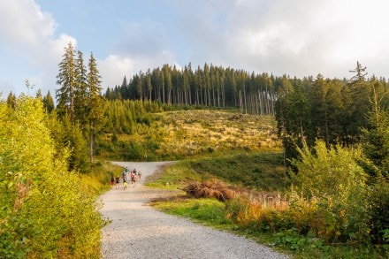 Ostallgäu: Kappelköpfl (Nesselwang)