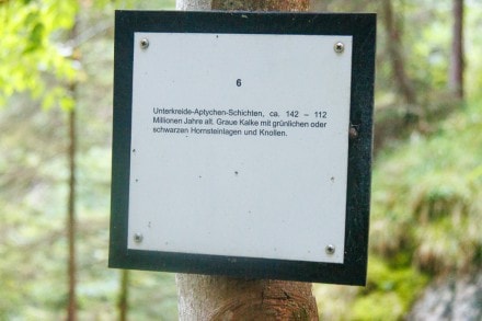 Oberallgu: Unterkreide-Aptychen-Schichten (Oberjoch)