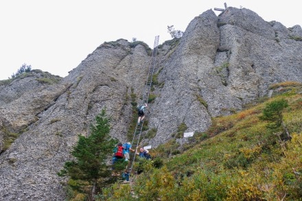 Tour: Bärenköpfle und Steineberg