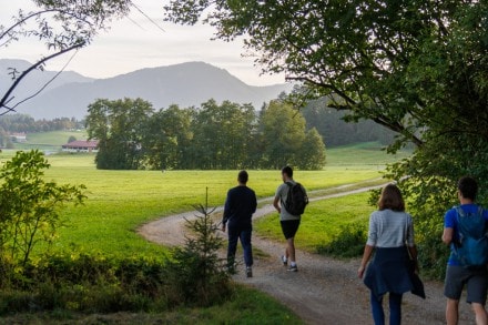 Oberallgäu: Werdensteiner Moos  (Unterjoch)