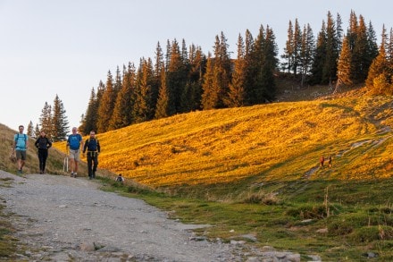 Ostallgäu: Kappelköpfl, Alpsitz und Edelsberg (Nesselwang)