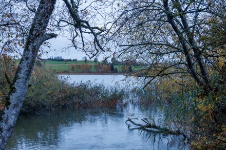 Oberallgäu: Seenlandschaft (Niedersonthofen)