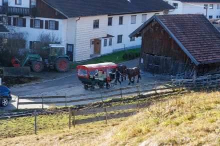 Ponny reiten, Kutschenfahrten
