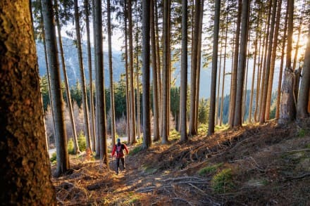 Tour: Pfronten, Jostberg und Hündleskopf zur Gund Hütte