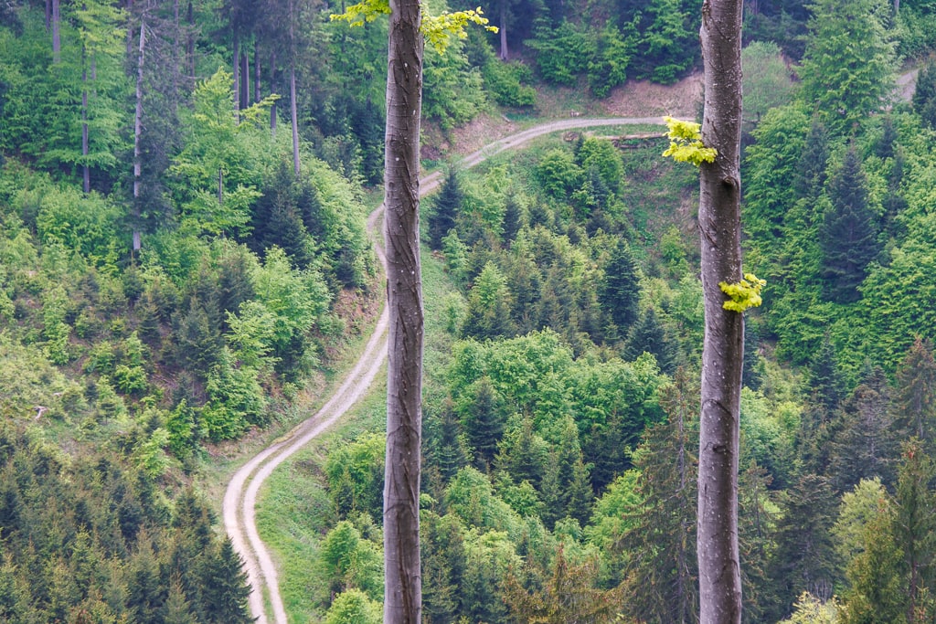 Rundwanderung Alttrauchburg – Sonneckgrat & Burgruine (Wengen - Oberallgäu / 2023)