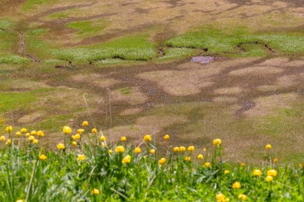 Tirol: Unterhalb der Namloser Wetterspitze (Namlos)