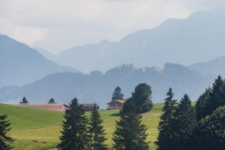 Buchenberg

