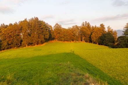 Ostallgäu: Tour (Roßhaupten)