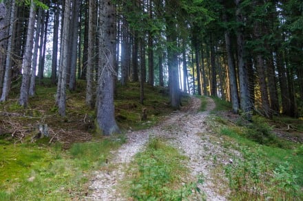 Ostallgäu: Tour (Halblech)