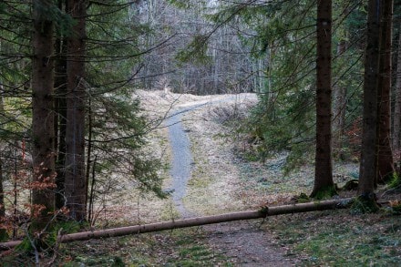 Oberallgäu: Knottenried Loipe (Knottenried)