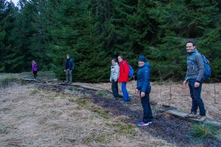 Oberallgäu: Moos Waldweg (Knottenried)