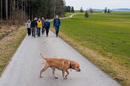 Oberallgäu: Kemptner-Wald (Kempten)