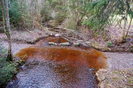 Oberallgäu: Kemptner-Wald (Kempten)