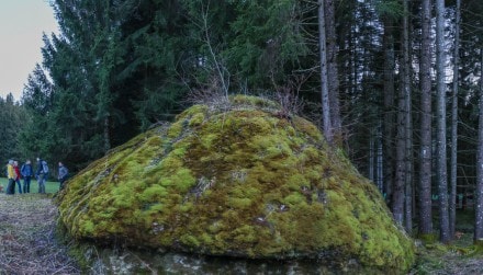 Oberallgäu: Morauchelstein (Kempten)