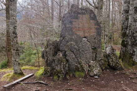 Oberallgu: Ruine Frauenstein (Fssen)