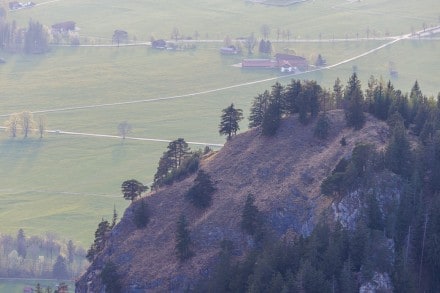 Ostallgu: Tour (Schwangau)