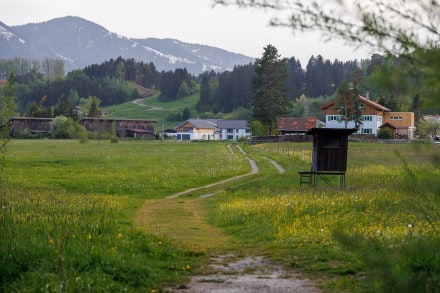 Tour: Burg-Café Werdenstein, Ruine und das Werdensteiner Moos