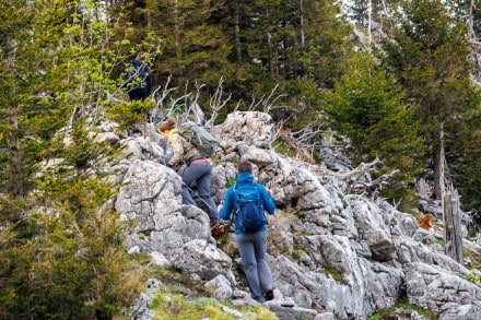 Tirol: Gratweg Roter Stein (Vils)