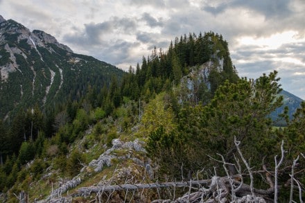 Tirol: Tour (Vils)